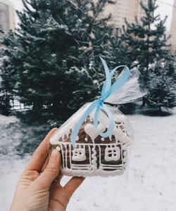 Новогодний тур в Карелию