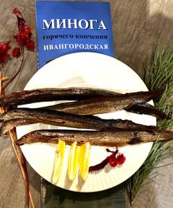 Нарвская минога