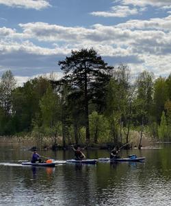 катание на сапбордах Ленобласть