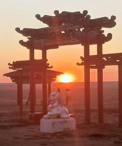 Природный памятник «Одинокий тополь», Калмыкия