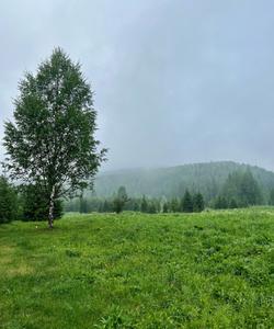 сплав