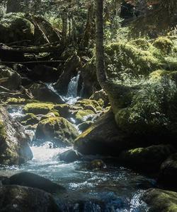 Тебердинский заповедник