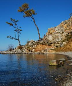 Местный пейзаж