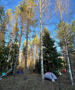 поход в Марий Эл