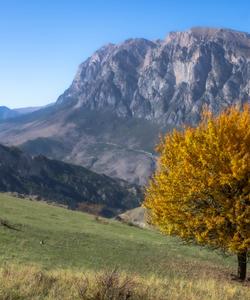 Местная природа и пейзажи 