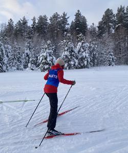 Катание на склонах