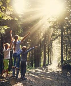 Семейный поход по Валдайской тропе