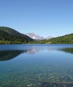 Местный пейзаж