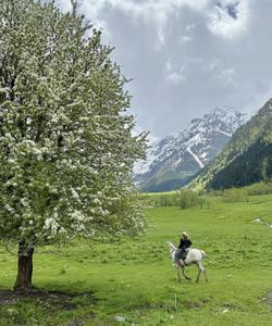 Конная экскурсия в Архызе