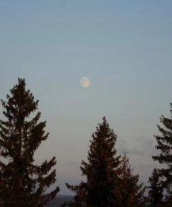 Тур в Карелию