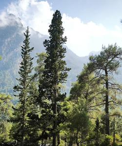 Поход по Ликийской тропе