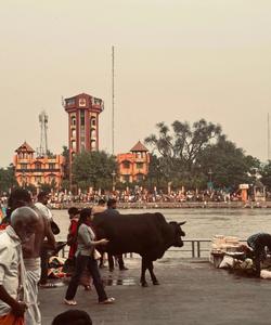 Город Харидвар