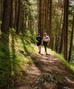 Треккинг в Горной Дигории