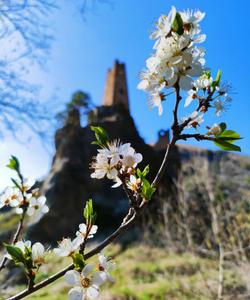 Башни Ингушетии