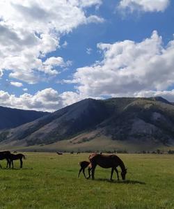 Тункинская долина