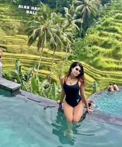 Рисовые террасы