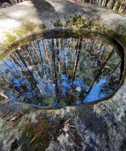 Чаша желаний