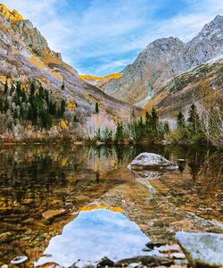 Местный пейзаж