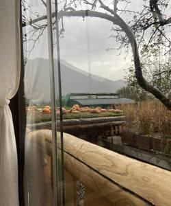 Природа Сочи