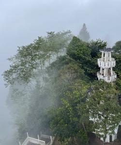 Местная природа