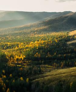 Местный пейзаж
