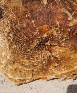 геологический тур в Касимов