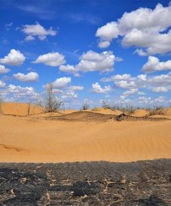 Пустыня Кызылкум