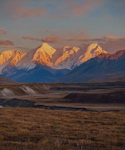 Местный пейзаж