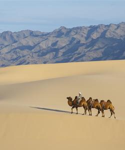 Пустыня Гоби