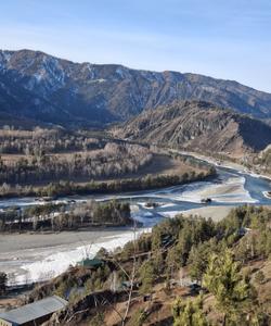 Местная природа