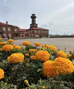 Художественная галерея в Свияжске