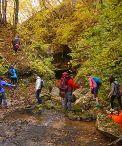 Маршрут по ущелью реки Руфабго