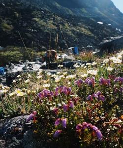 Треккинг по Ловозерским тундрам