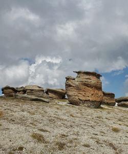 Долина каменных грибов