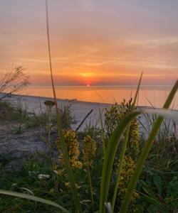 Побережье Балтийского моря