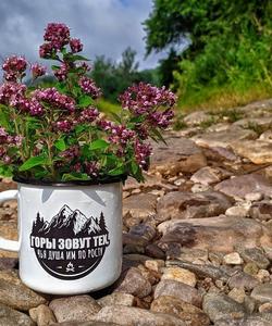 Тур в Башкирию