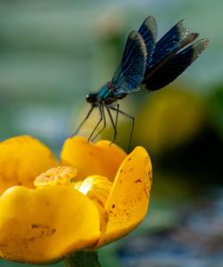 Тур в Башкирию