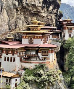 Гнездо тигра