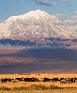 Гора Арарат в Турции