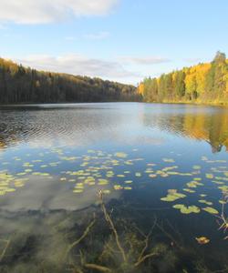 Марийские озера