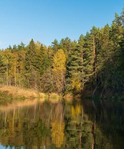 сплав по реке Осуге