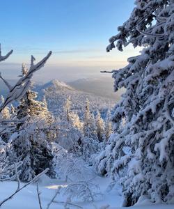 Гора Малиновая