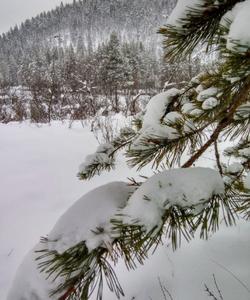 зима на Урале