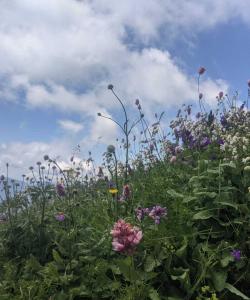 Поход в Красной Поляне