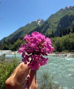 Тур в Северную Осетию