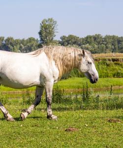 Конный тур в Башкирии