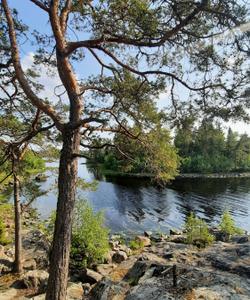 Карельские пейзажи