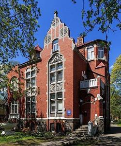 Вилла Шмидт, Амалиенау