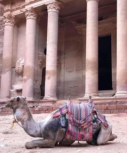 Храм Эль-Хазне в Петре