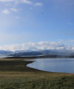 Местный пейзаж